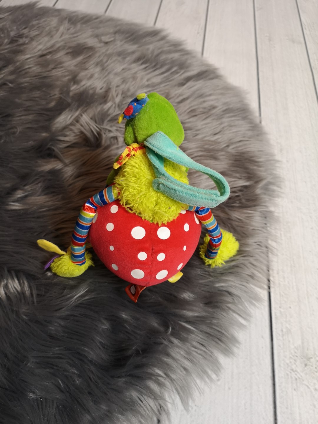 Aktivity-Frosch – Bild 2