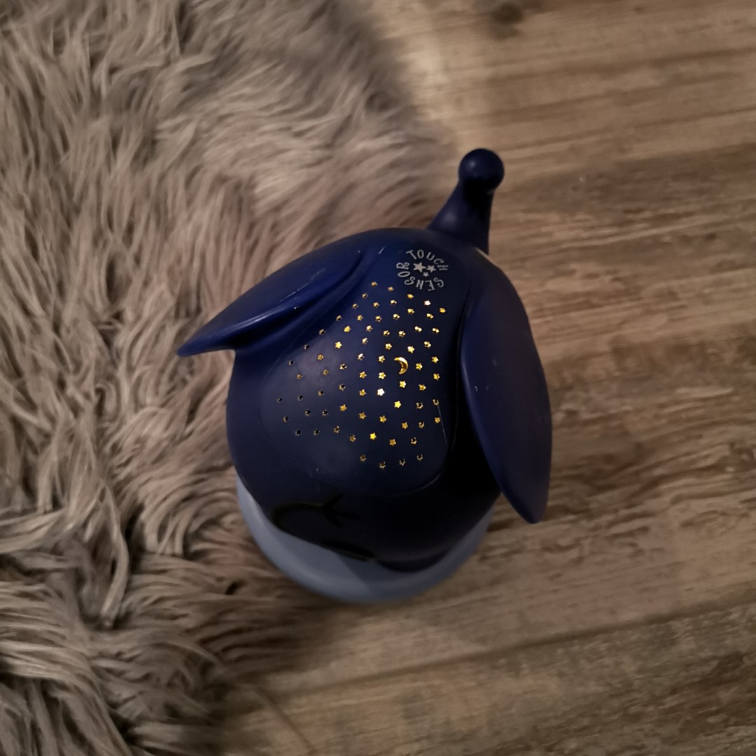 Sternenlicht mit Musik - Sendung mit der Maus – Bild 4